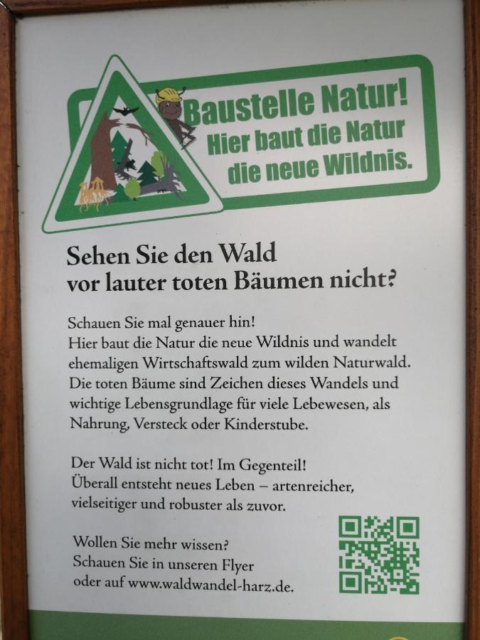 App 350 Mit Brockenblick
